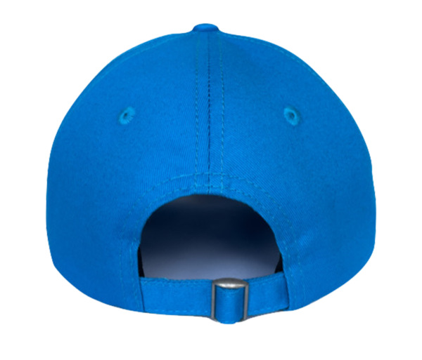 lid - magnitude back