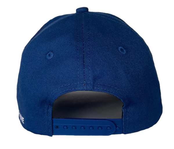image Ukraine cap back